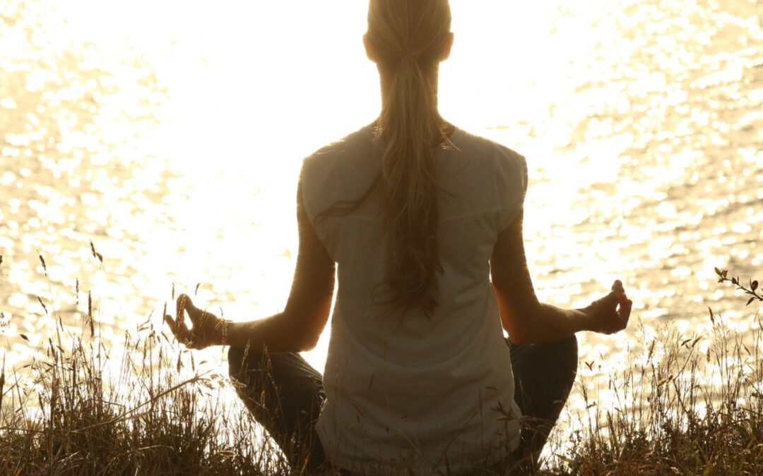 Learning To Meditate